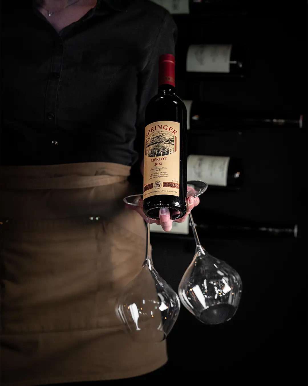 Degustace Vinařství Pavel Springer