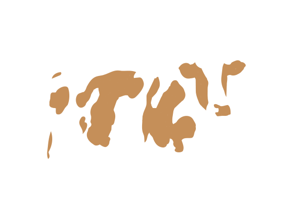 Prime Steak atmosféra